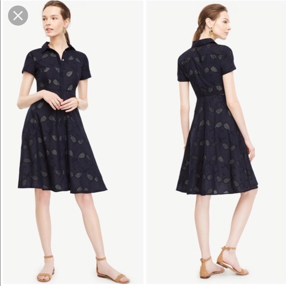 Ann Taylor Dresses & Skirts - Ann Taylor Tennis Eyelet button down dress Size 6
